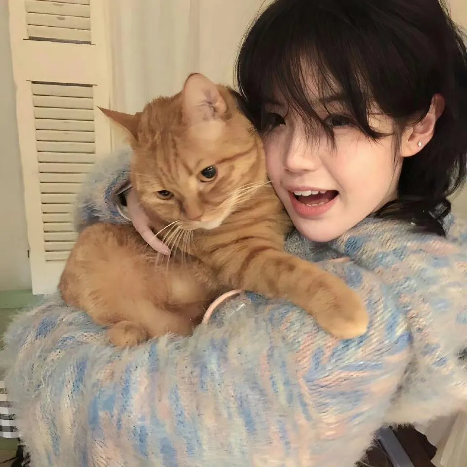射月