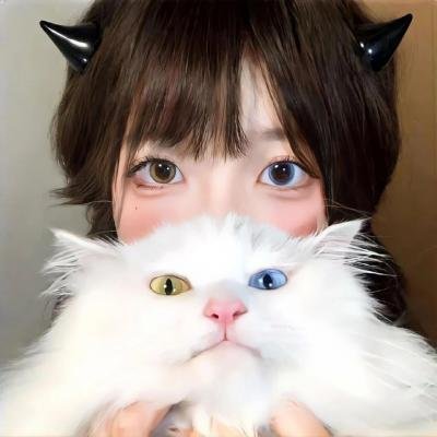 神枪少女第二季